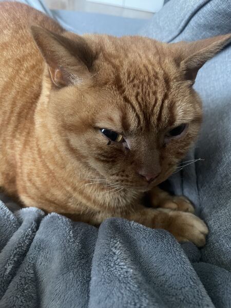 Mounjaro 10st (or more) to lose Thread 9