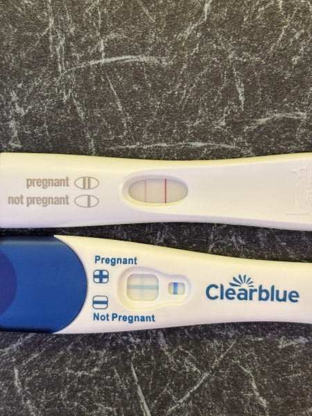 TTC TWW August/September 2025