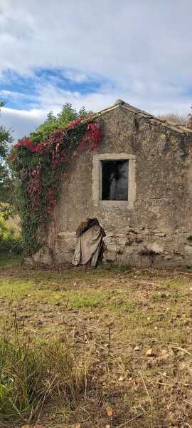 The Nigel Slater Christmas Chronicles Readalong 2025