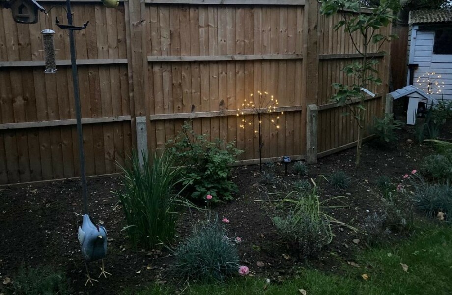 The Great Recovery part 4