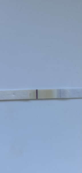 Opinions please.. evap line or positive?