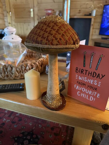 Poncetastic Christmas 2025