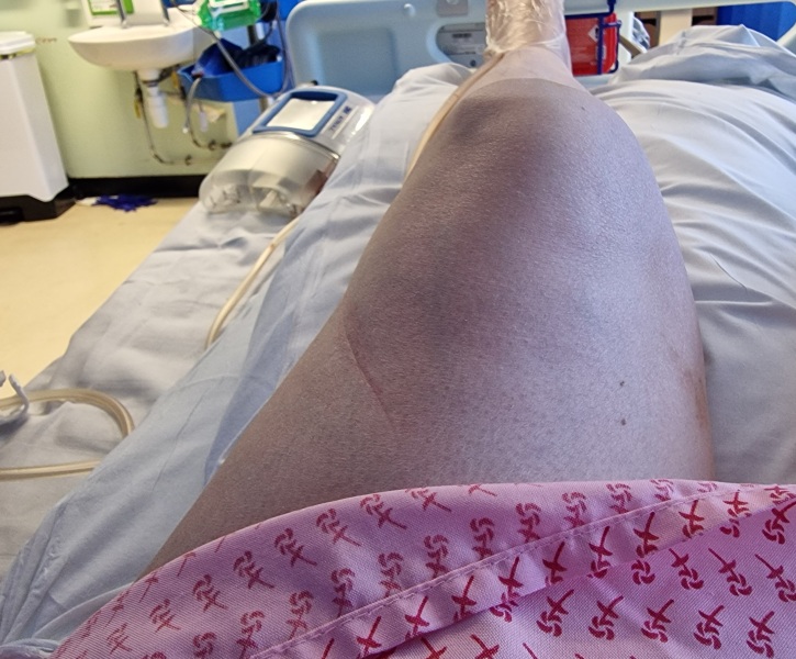 The Bluestocking, where the short days shorten and the oaks are brown