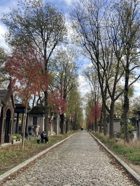 Year round Nigel Slater discussion thread Part 2