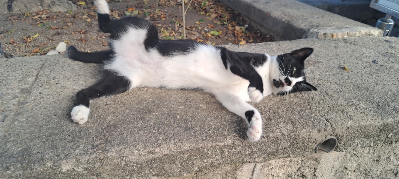 Thread 36 Starmer - Triggered by ads and Da iawn, Caerffili.