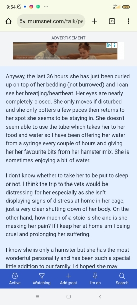 I think my pet is dying...please help