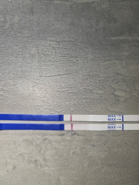 Help with this test!