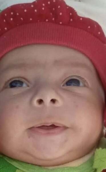 Feel like once the hostages are handed over Israel will start bombing again