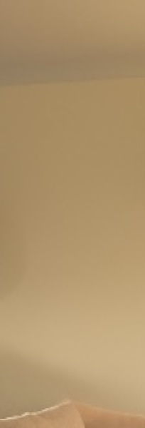 Deciding on Paint colour, is Dulux Timeless Yellow?