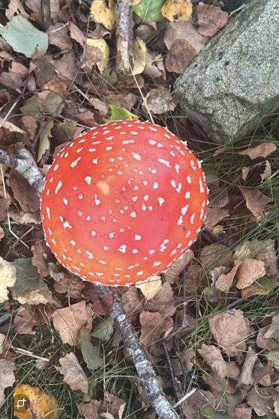 Labour isn't working - Thread 13