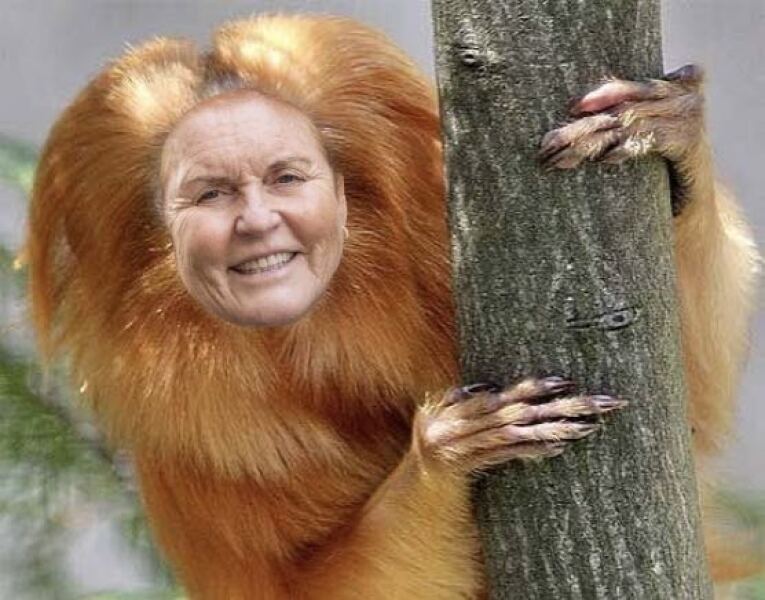 Understanding Sarah Ferguson’s loans