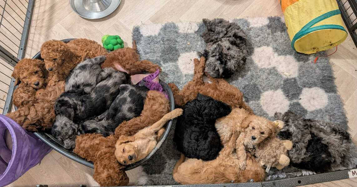 What are you up to today if you have chronic illness part 2?