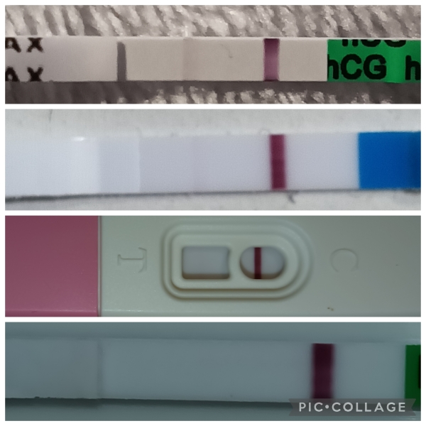 Chemical in March, 10dpo tests