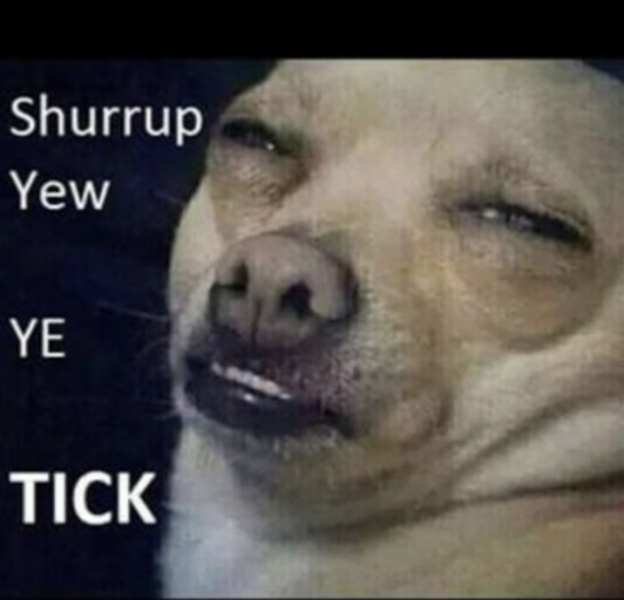 Regional insults
