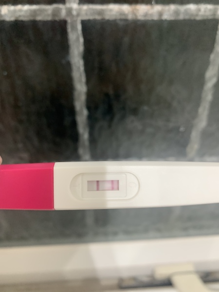 Ovulation after miscarriage