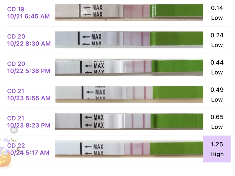 I’m I out this month?