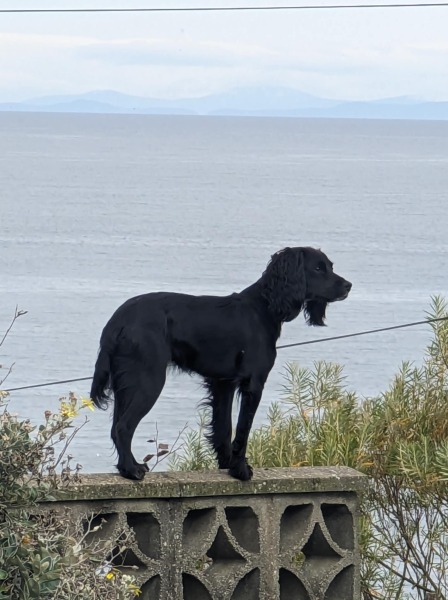 Our Cosmic Autumn Rebellion (Adolescent Support Group)