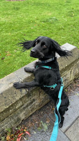 Our Cosmic Autumn Rebellion (Adolescent Support Group)