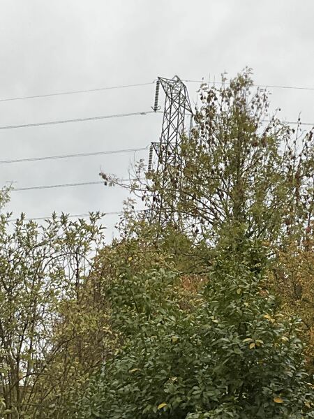 Thoughts on property near pylon?