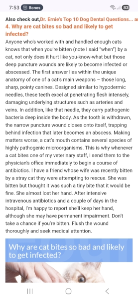 To call NHS 24 over a minor cat bite?