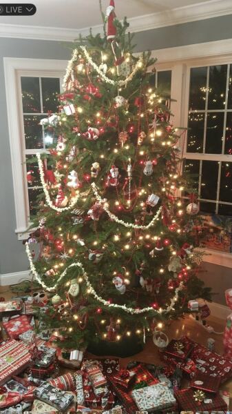 Show me your colourful Christmas trees