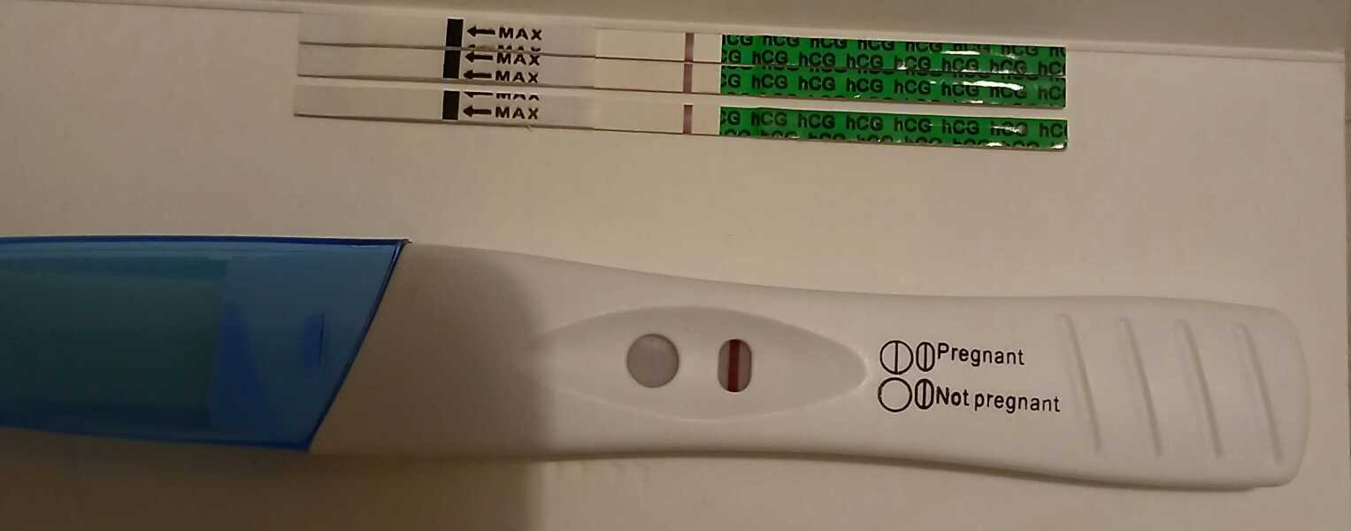 Can you see anything?