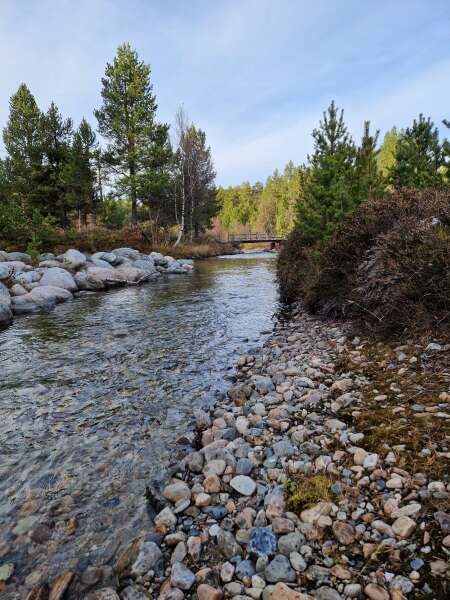 Year round Nigel Slater discussion thread Part 2