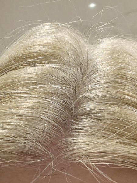 NMN reversing grey hair