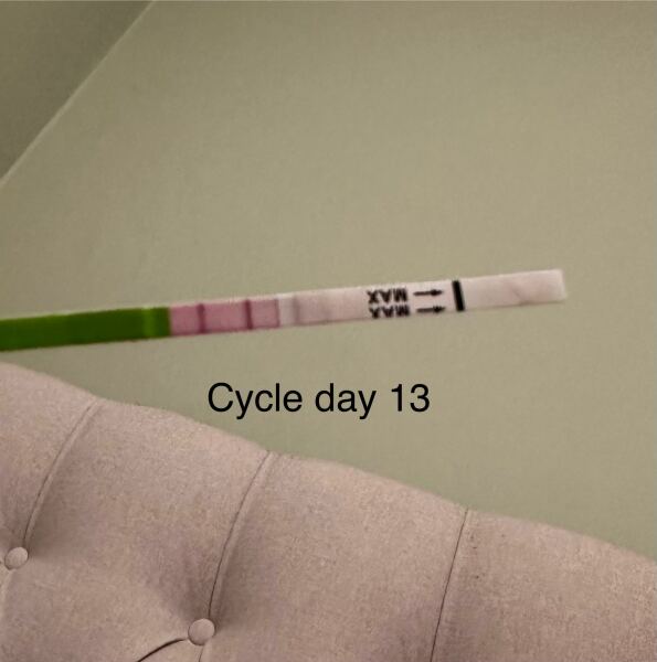 TTC TWW October 2025 🫶🏻