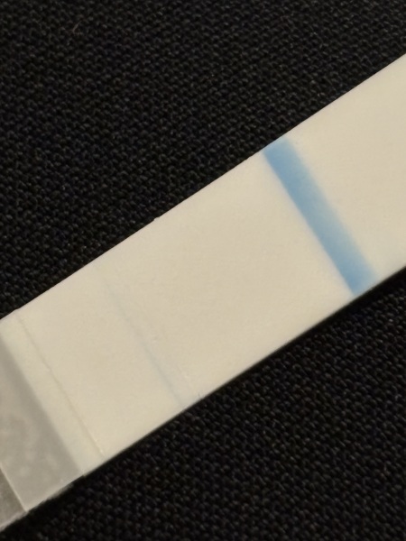 Evap or faint positive?