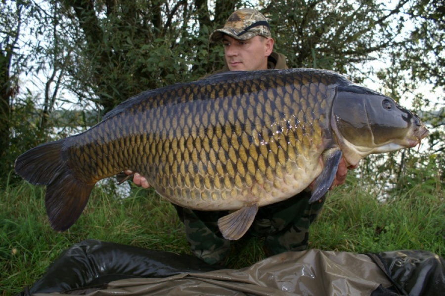 August 25 Starters - Thread 2