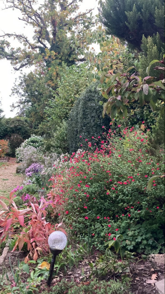 Year round Nigel Slater discussion thread Part 2