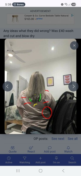 Bad hair cut?