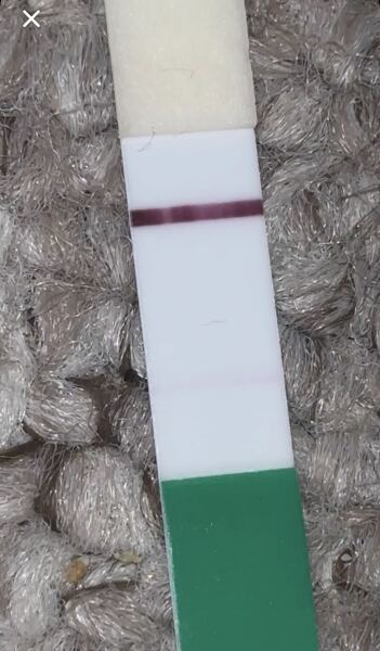 does it look like evap line or faint?