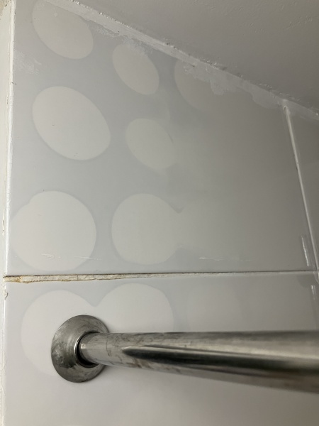 Damp and a vulnerable child