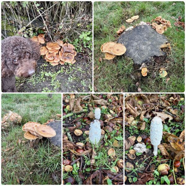 Year round Nigel Slater discussion thread Part 2