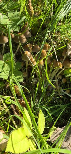 Come and tell us your dull and unexciting news 34: Calmly through the day