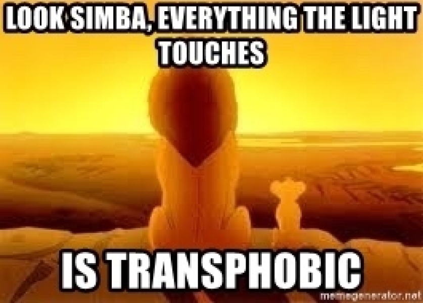 Always been GC, but now afraid I'm becoming transphobic