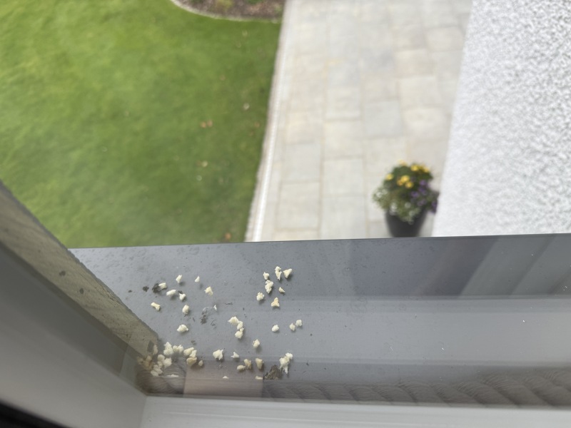 What’s causing this?