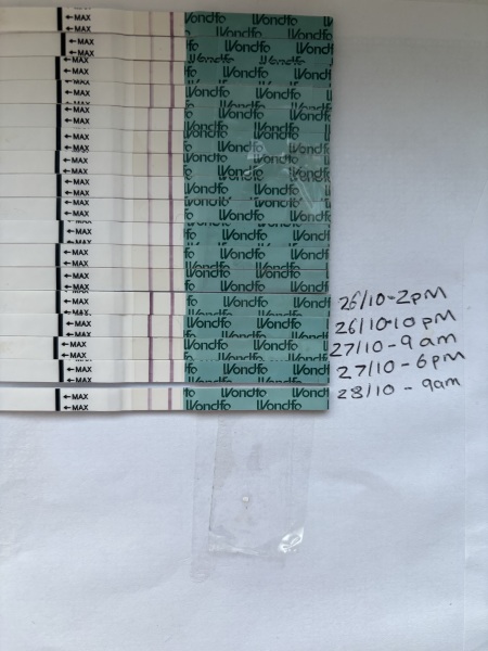 When was my peak from this please?