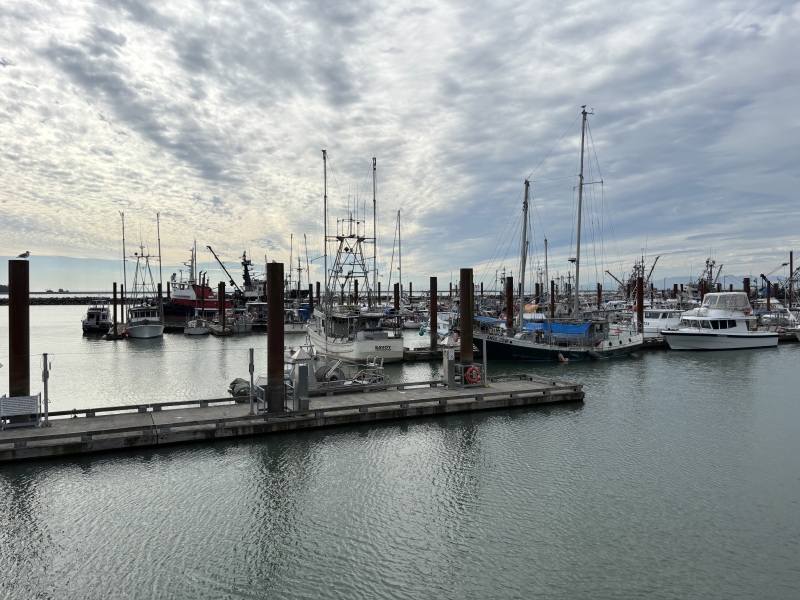 Come and tell us your dull and unexciting news 34: Calmly through the day