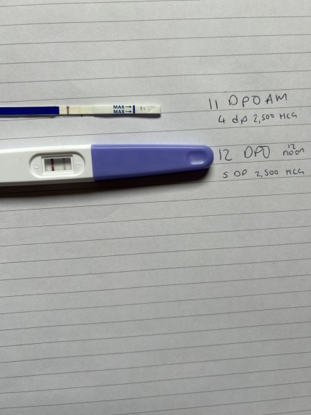 HCG booster - test