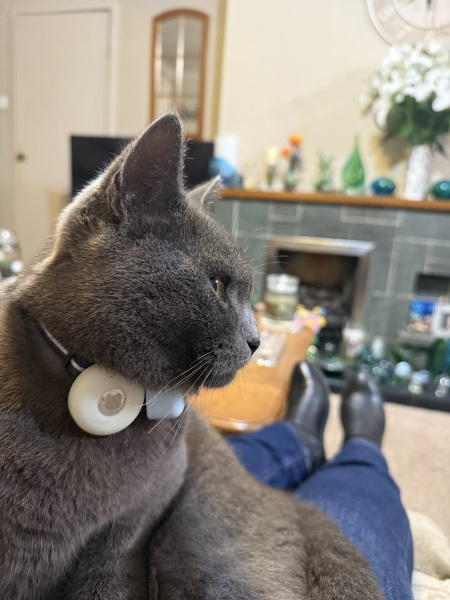 Scottish Tourism - the Excellent Cats debate Gizmo's suitability as a top influencer