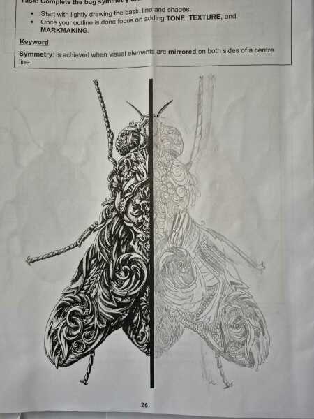Can anyone help with DD's art homework?
