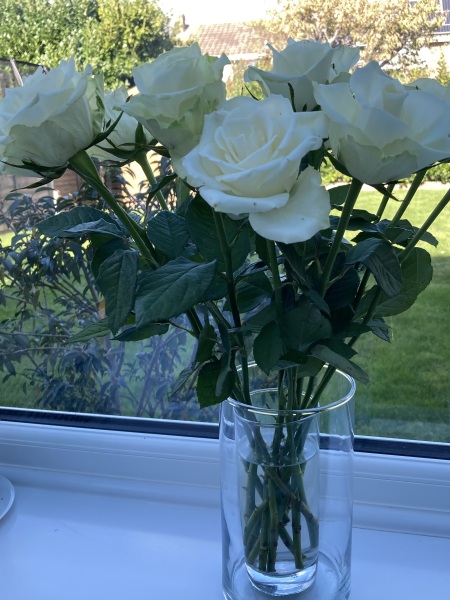 Thread 35 Starmer: Old and smelling of roses