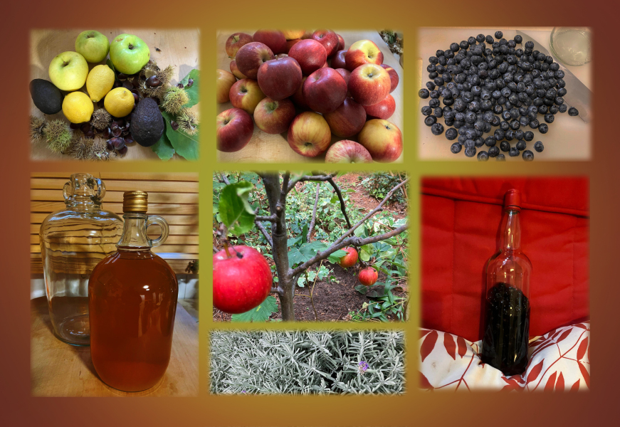 Year round Nigel Slater discussion thread Part 2