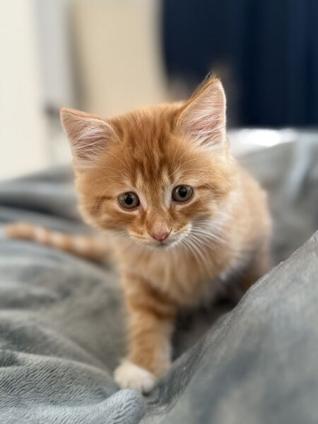 Can’t decide on a name!