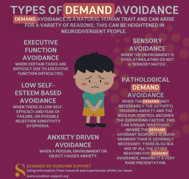 PDA Autism, realisation that this fits DD so we had hit hard’