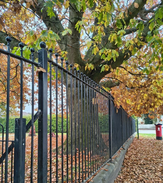 Thread 35 Starmer: Old and smelling of roses