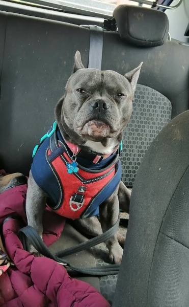 Support thread for those trying to lead an alcohol free life - Autumn 25